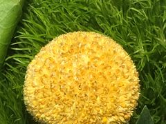 -南堂馆·新川菜(春熙路店)