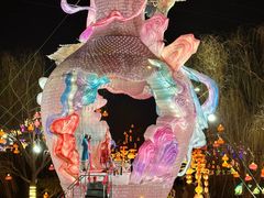 -淄博花灯齐彩城