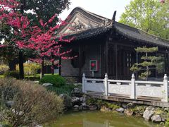 -梅园
