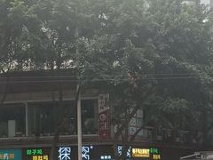 -探窝·竹笙椰子鸡(杨箕店)