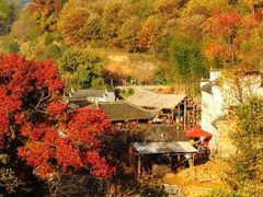 -塔川景区