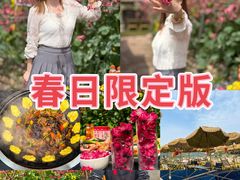-桃源山庄·水蜜桃采摘·柴火鸡·烧烤团建(龙泉山店)