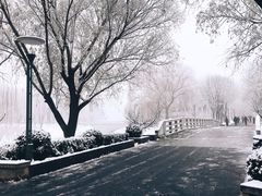 -大兴滨河森林公园