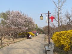 -古塔公园