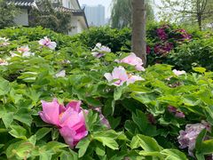 -不二茶空间·养生宴(石景山店)