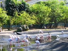 -吉隆坡雀鸟公园