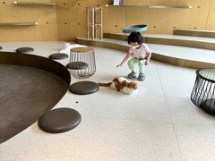 -飞行喵MR PILOT|猫舍·猫咖(静安大融城店)