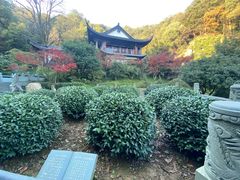 -十八棵（老龙井）御茶园(老龙井店)