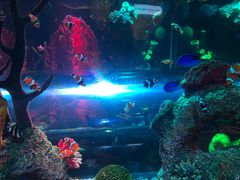 -沈阳海洋探索中心