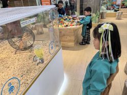 -小象动悟公园(龙湖亦庄天街店)