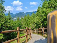 -白水寺森林公园