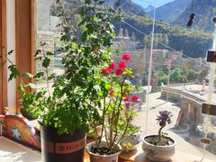 -四姑娘山阿巴郎·藏式花园餐厅