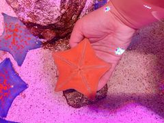 -沈阳海洋探索中心