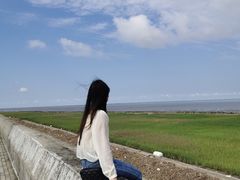 -南汇嘴观海公园