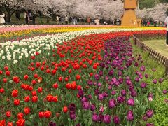 -苏州上方山国家森林公园