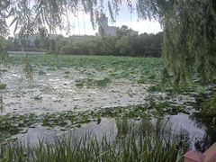 -长春市南湖公园