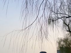-迎泽公园