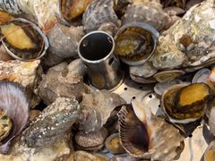 -今鲜源大酒店·中华餐饮名店(新湛路店)