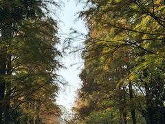 -狼山风景名胜区