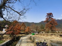 -塔川景区