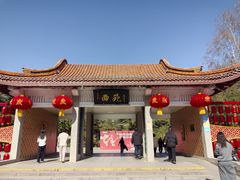 -西苑公园