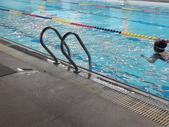 -小海豚国际游泳培训中心(浦东塘桥店)