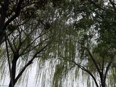 -阳澄湖费尔蒙酒店