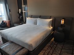 -新加坡瑞士史丹福酒店