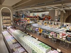 -鹏佳腾学生文创