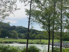 -牛岗山公园