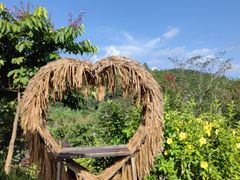 -广州白江湖森林公园