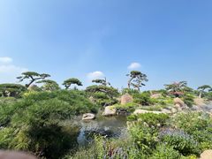 -罗红摄影艺术馆