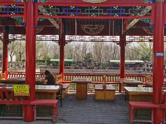 -尚庄度假村·庭台树下·户外烧烤·团建CS·轰趴营地(上庄水库店)