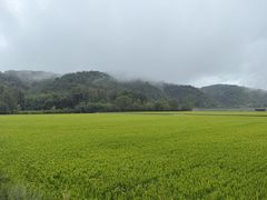 -南泥湾风景区