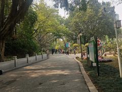 -晓港公园