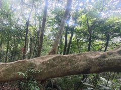 -七仙岭温泉国家森林公园