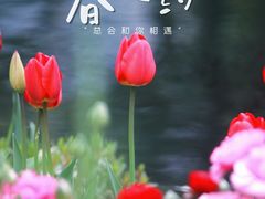 -徐家汇公园