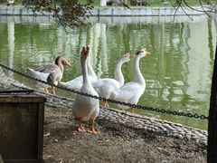 -长安大学(北校区)