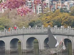 -四海公园(南山区)