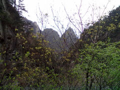 201404131377-大明山自然探索公园