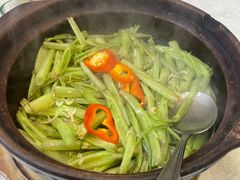 -津津菜馆(绝没分店)
