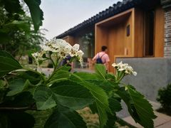 -春风习习