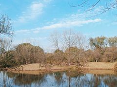 -西溪国家湿地公园