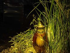 -大白之家天台轰趴•烧烤•团建•生日(南山店)