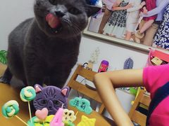 -鱼无双·酸菜鱼(来凤街店)