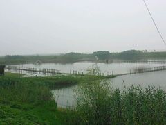 android_upload_pic-泗洪洪泽湖湿地景区