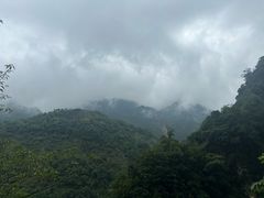 -雁荡山三折瀑景区