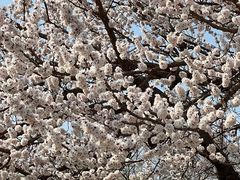 -吉林大学(南岭校区)