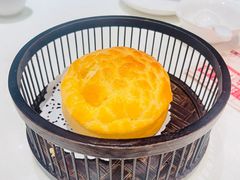 -新雅粤菜馆(南京东路店)