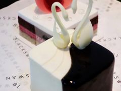 -BLACKSWAN黑天鹅(环球店)